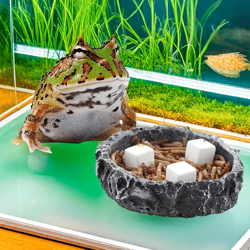 6Pcs For Reptile Grinding Tort - Calcium Powder Reptile recensie en prijs