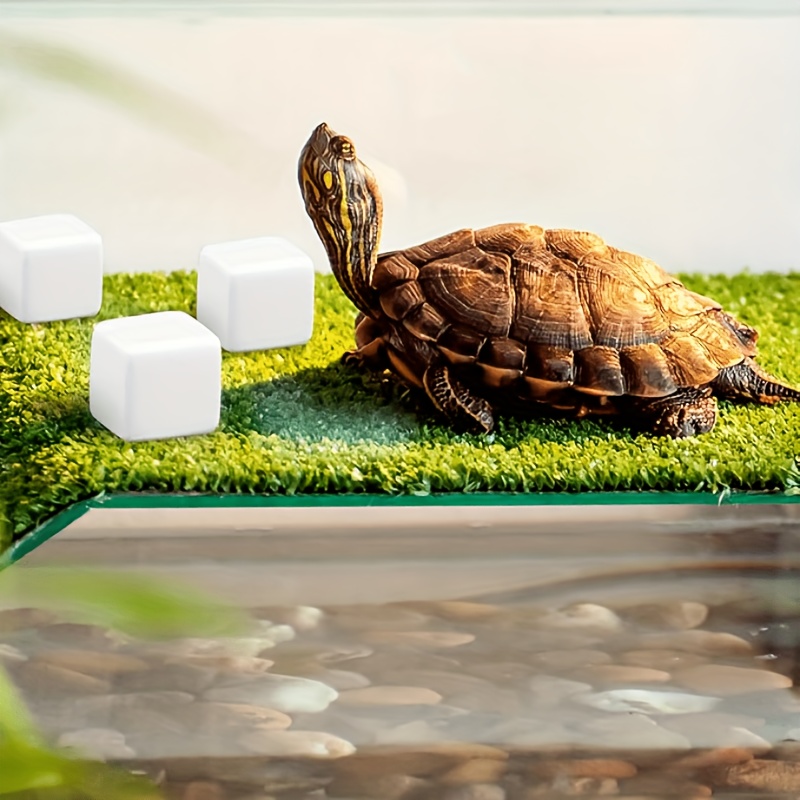 6Pcs For Reptile Grinding Tort - Calcium Powder Reptile recensie en prijs