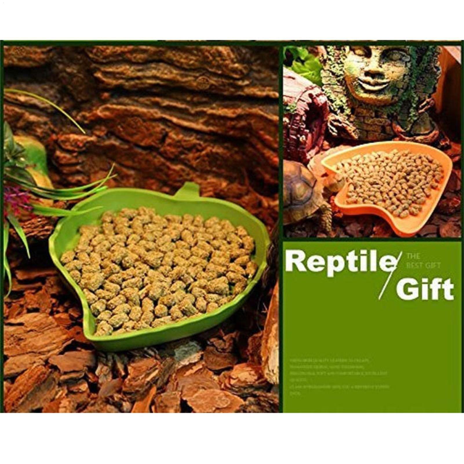 Turtle Feeding Bowl Reptile Fe - Water Dish Reptile recensie en prijs