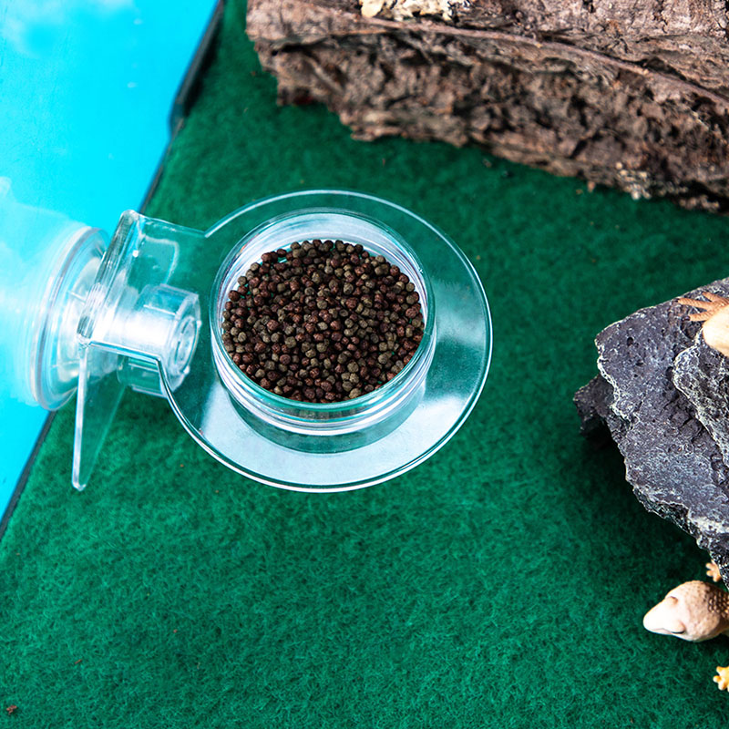 Acrylic Crawling Pet Feeding W - Water Dish Reptile recensie en prijs