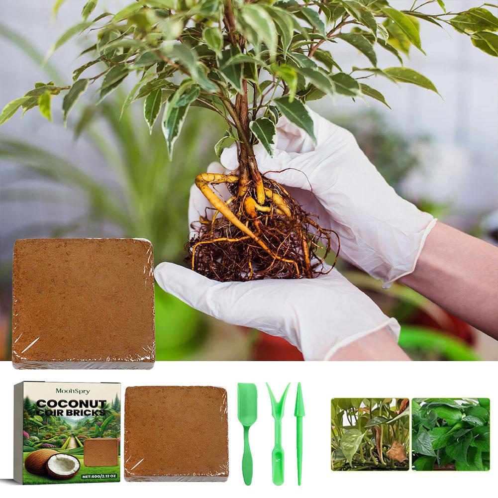 Reptile Coconut Soil Coir Pres - Substrate Coconut Fiber recensie en prijs
