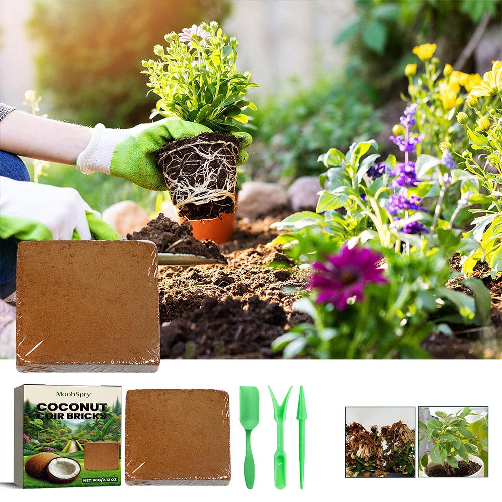 Reptile Coconut Soil Coir Pres - Substrate Coconut Fiber recensie en prijs