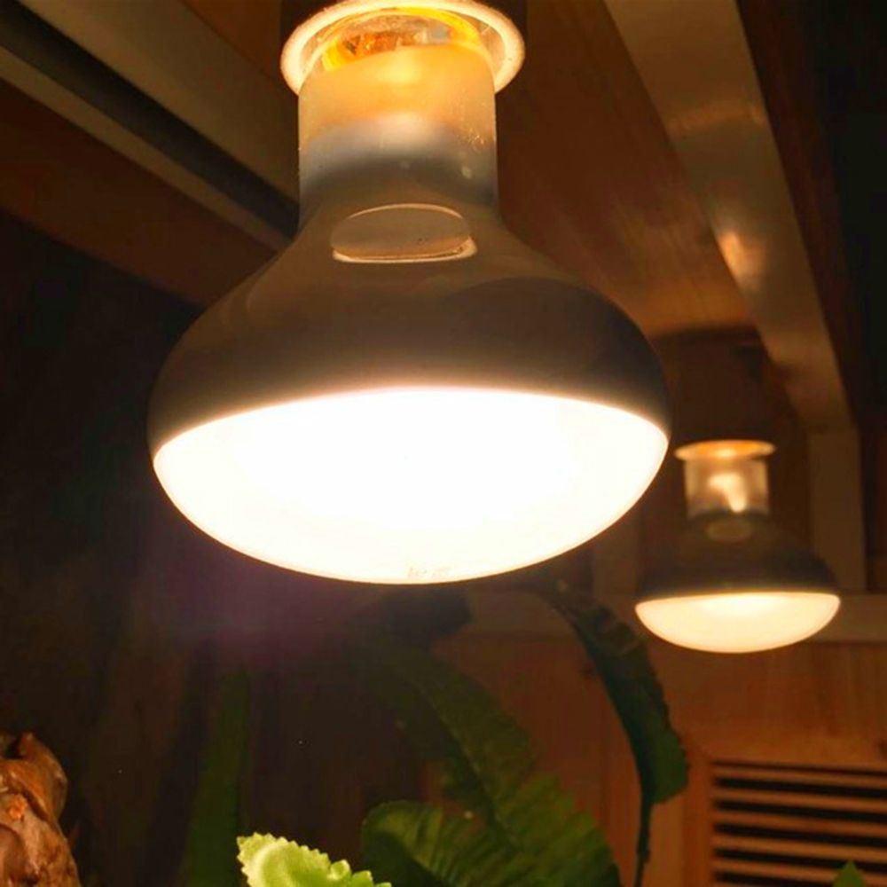 Lizard Heater Temperature Cont - Basking Bulb Halogen recensie en prijs