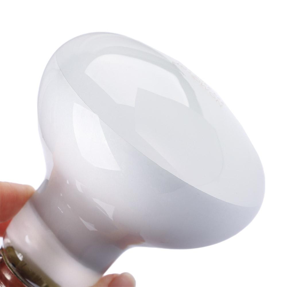 Lizard Heater Temperature Cont - Basking Bulb Halogen recensie en prijs