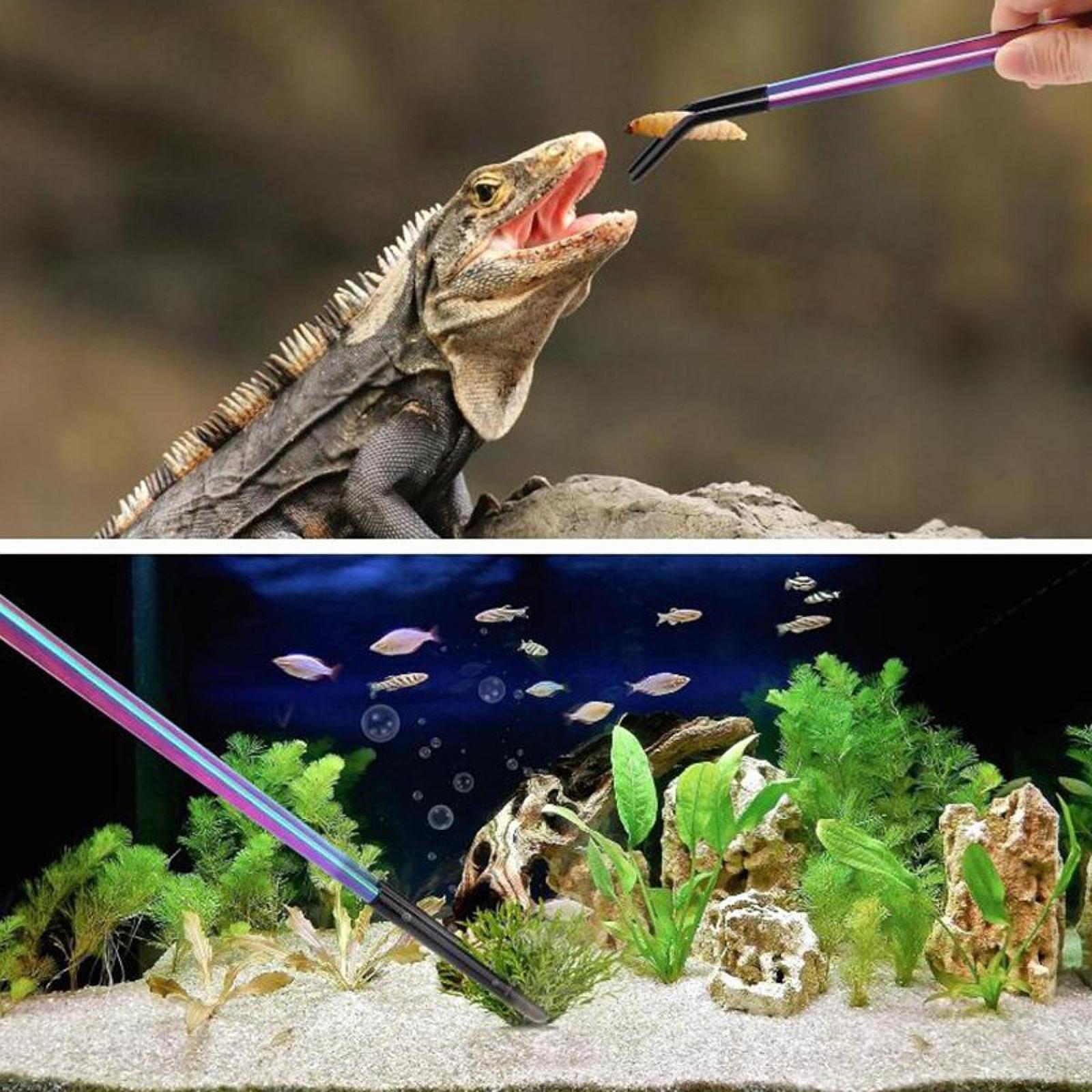Terrarium Reptile Feeder Tongs - Feeding Tong Stainless recensie en prijs