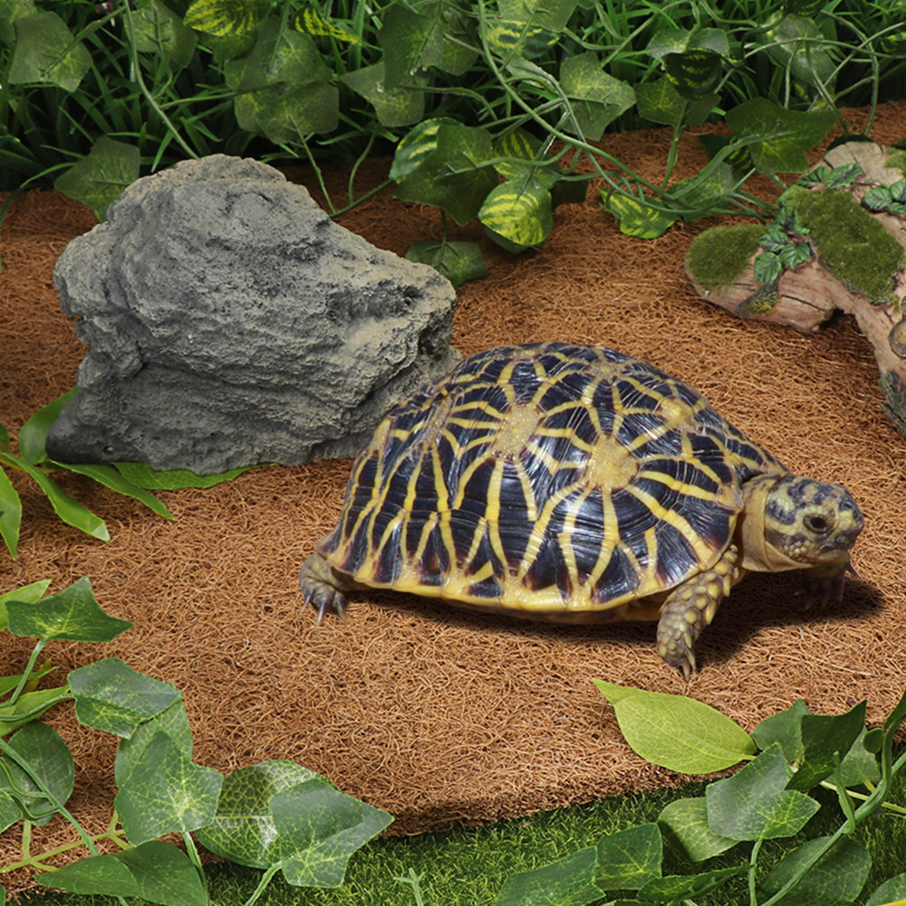 Coconut Fiber Reptile Mat Non- - Substrate Coconut Fiber recensie en prijs