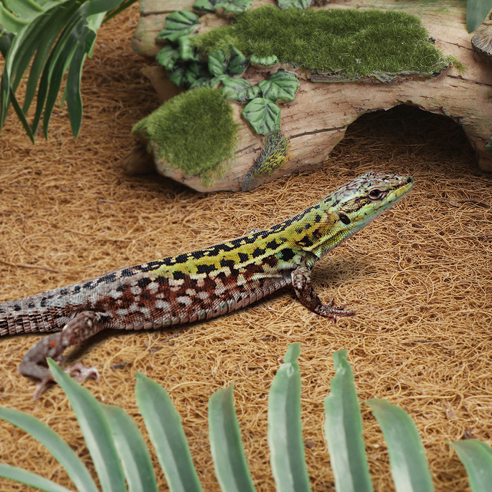Coconut Fiber Reptile Mat Non- - Substrate Coconut Fiber recensie en prijs
