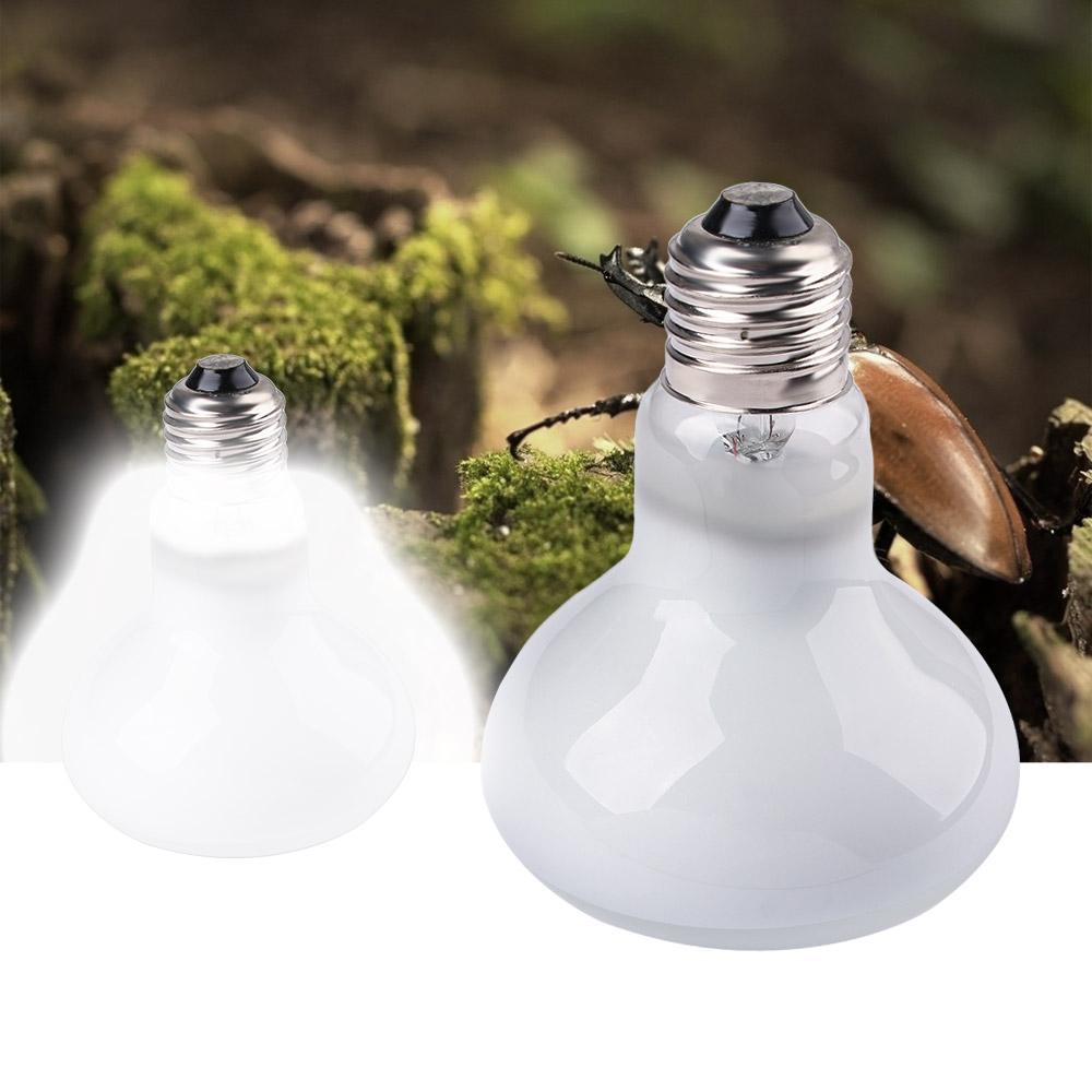 Lizard Temperature Controller  - Basking Bulb Halogen recensie en prijs