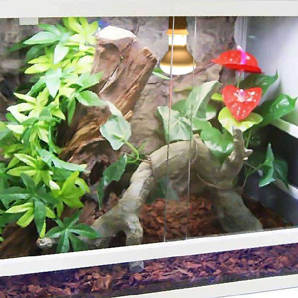 Lizard Temperature Controller  - Basking Bulb Halogen recensie en prijs