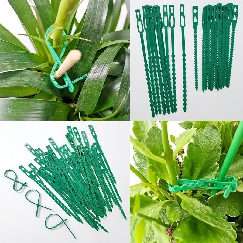100PCS reusable adjustable pla - Vine Climbing Plastic recensie en prijs
