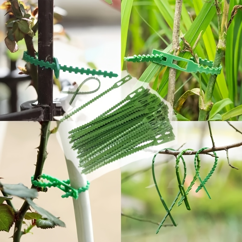 100PCS reusable adjustable pla - Vine Climbing Plastic recensie en prijs