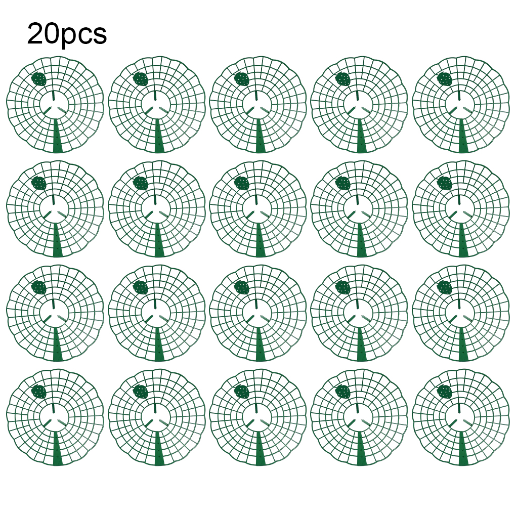 20PCS Strawberry Stand Green C - Vine Climbing Plastic recensie en prijs