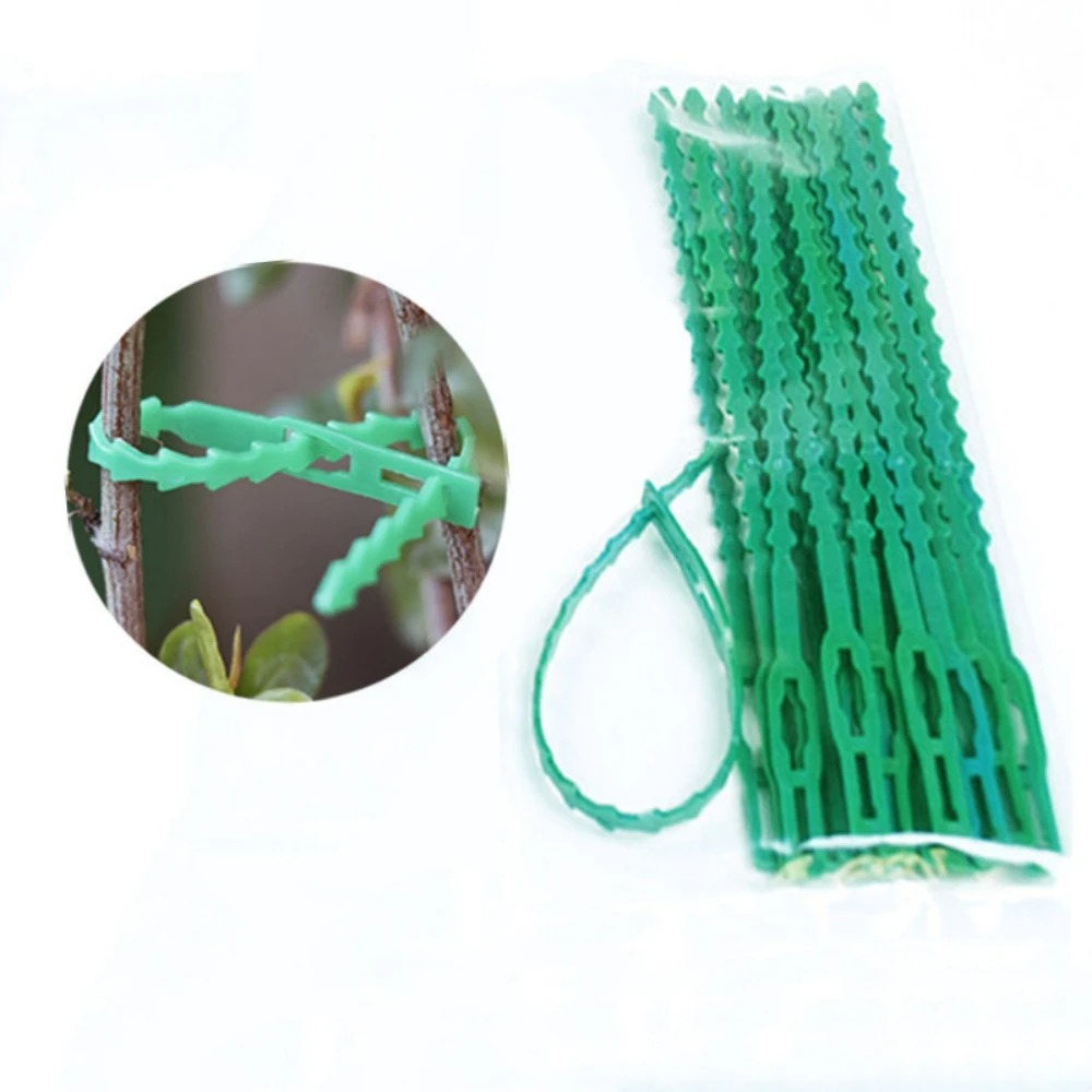 50pcs Adjustable Plastic Plant - Vine Climbing Plastic recensie en prijs