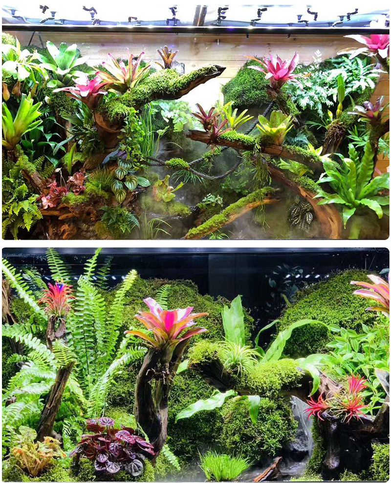 MINI Adjustable Reptile Fogger - Misting Nozzle Reptile recensie en prijs