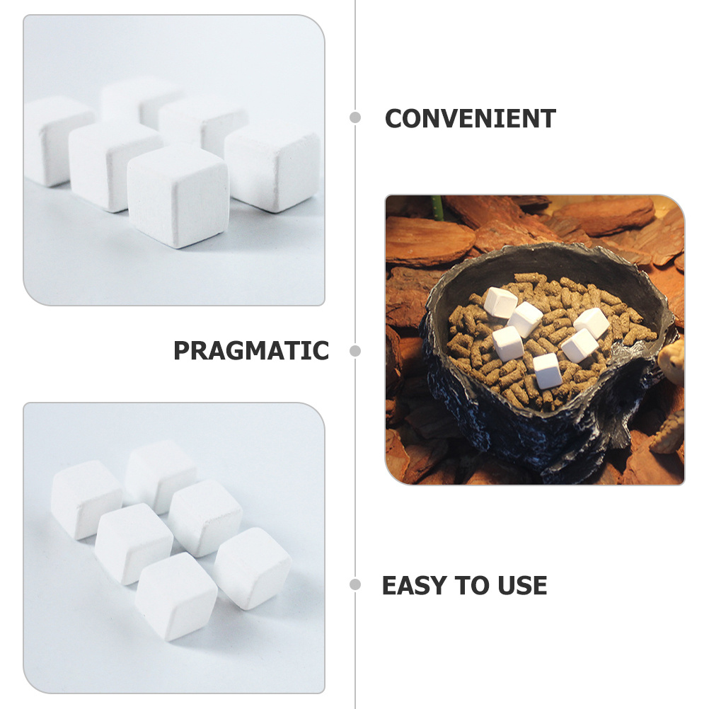 6Pcs Calcium Blocks Natural Mi - Calcium Powder Reptile recensie en prijs