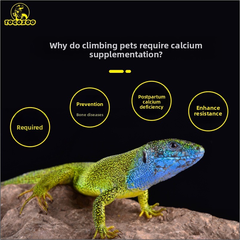 TOGOZOO WILDCAL Reptile Calciu - Calcium Powder Reptile recensie en prijs