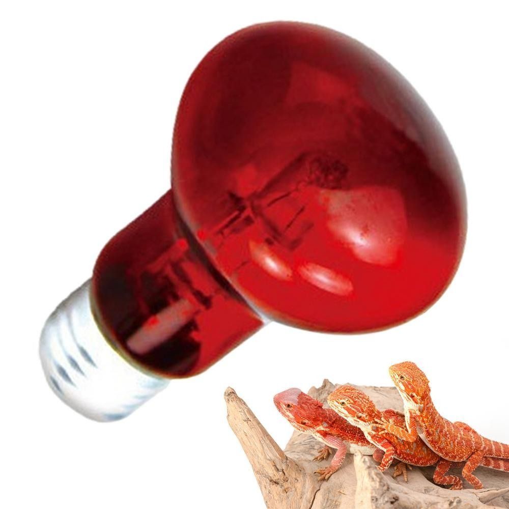 Infrared Led Pet Heating Lamp  - Ceramic Heat Emitter recensie en prijs