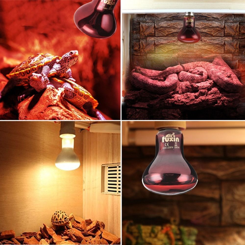 Infrared Led Pet Heating Lamp  - Ceramic Heat Emitter recensie en prijs