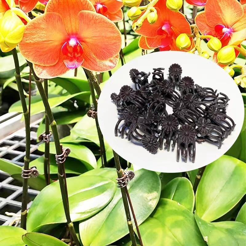 Wholesale Mini Plant Support C - Vine Climbing Plastic recensie en prijs