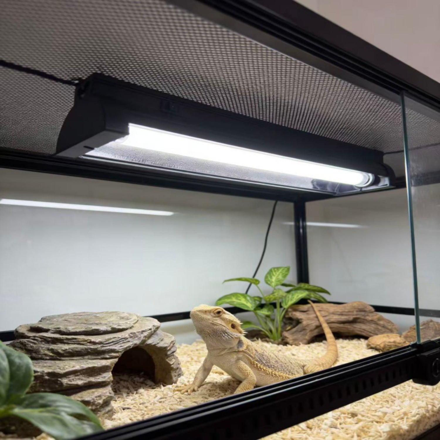 T5 UVB Reptile Light Fixture K - Calcium Powder Reptile recensie en prijs