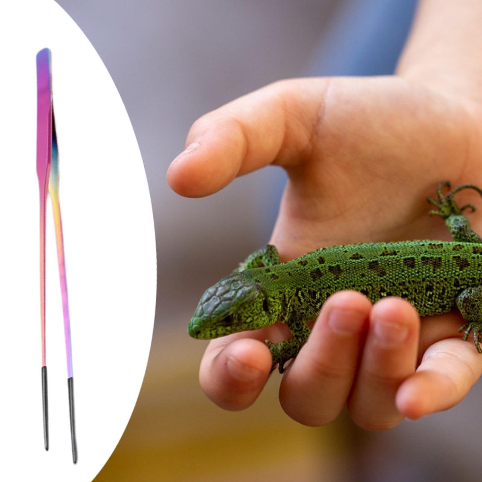 Aquarium Tweezers Reptile Feed - Feeding Tong Stainless recensie en prijs
