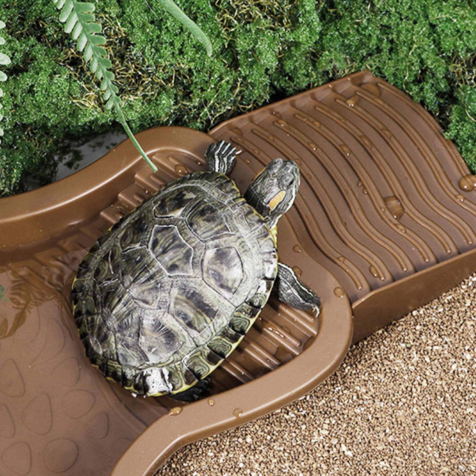 Reptile Bathing Pool with Ramp - Water Dish Reptile recensie en prijs
