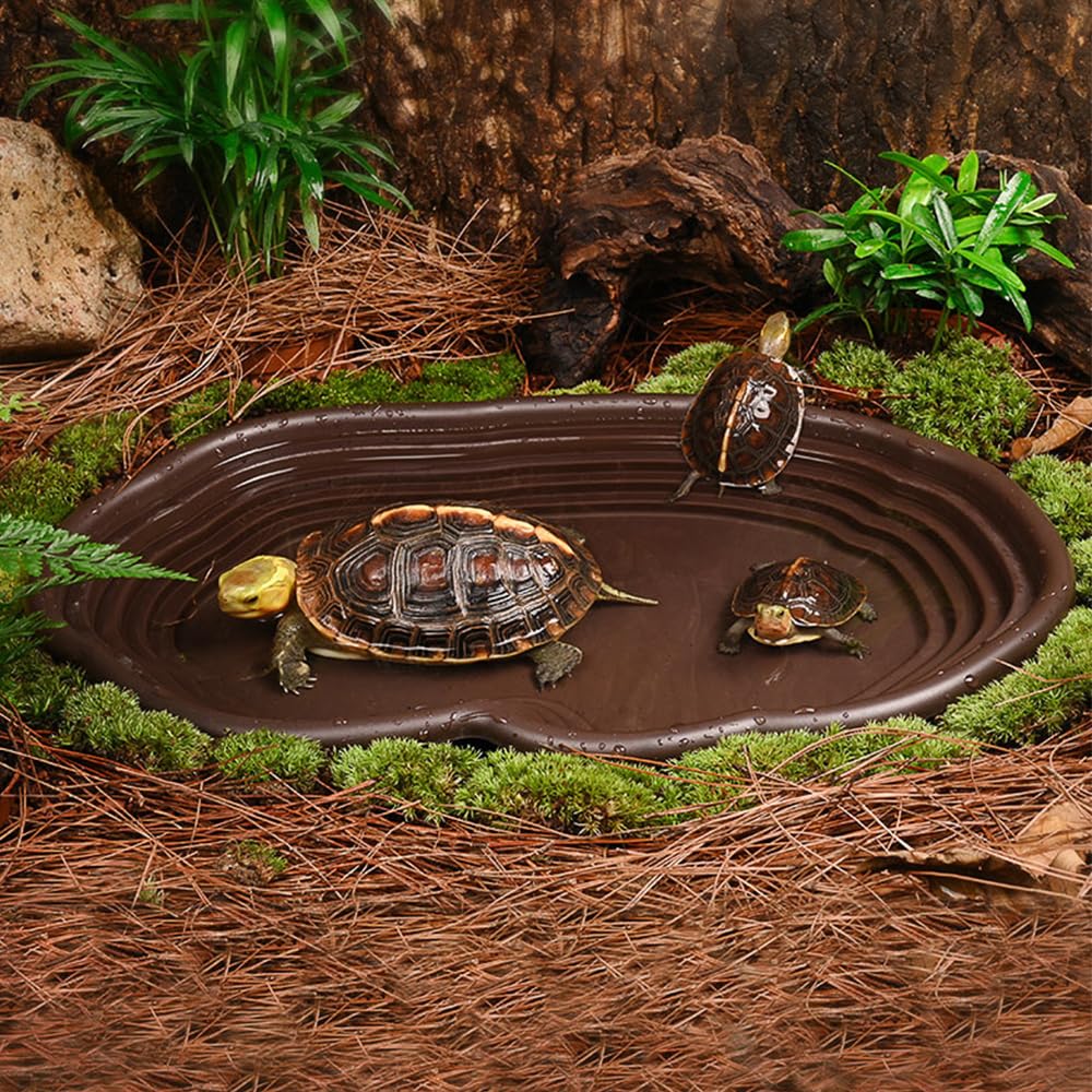 Reptile Bathing Dish Amphibian - Water Dish Reptile recensie en prijs
