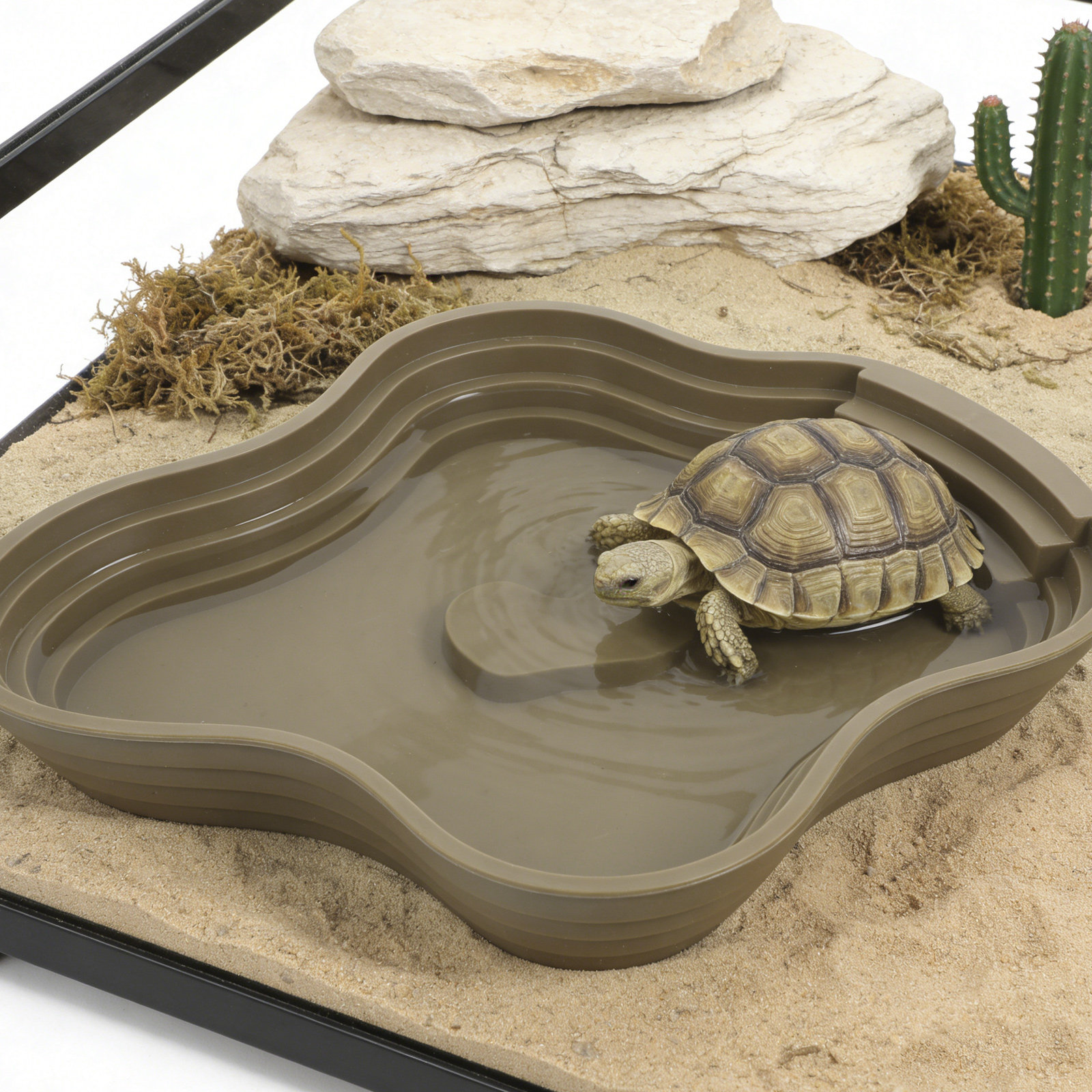 Large Turtle Reptile Bathing P - Water Dish Reptile recensie en prijs
