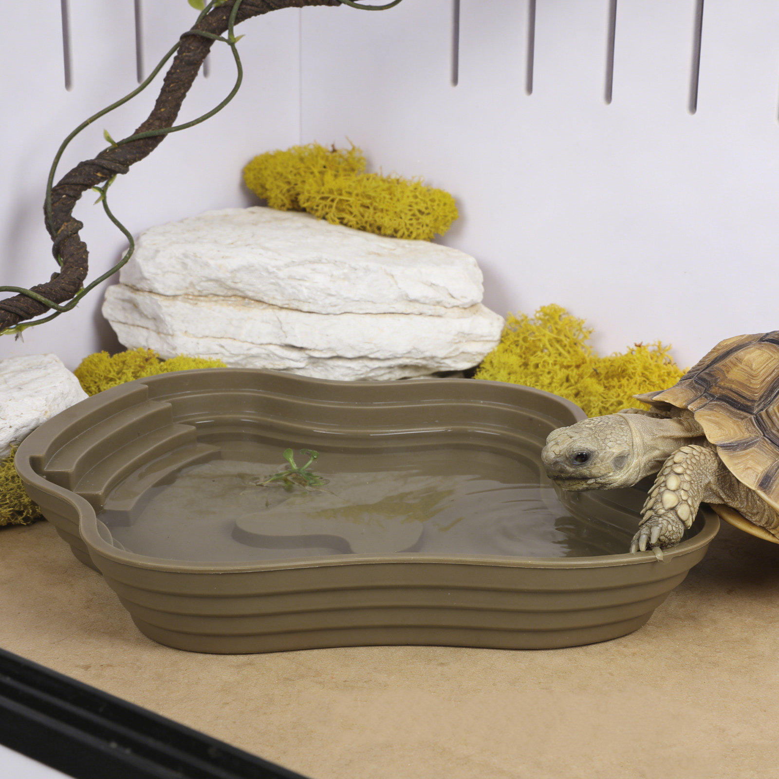 Large Turtle Reptile Bathing P - Water Dish Reptile recensie en prijs
