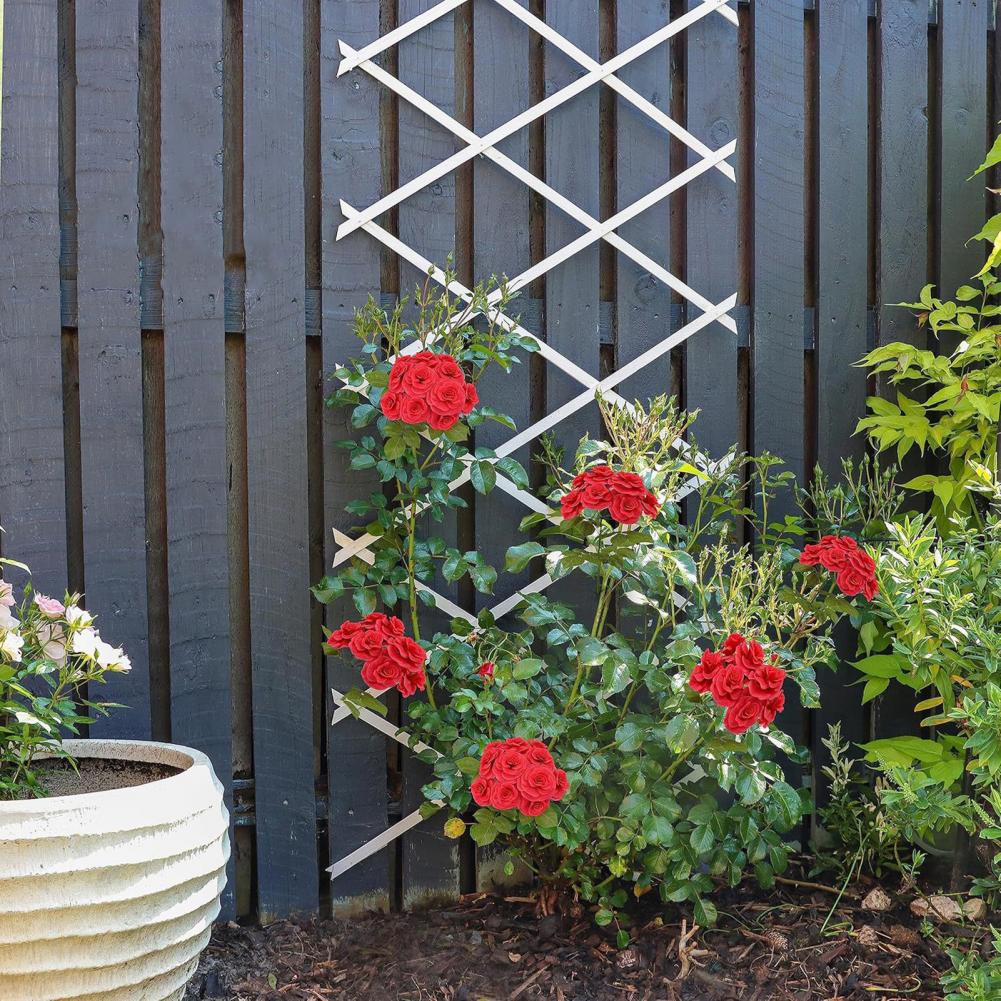 Expandable Garden Trellis 70 x - Vine Climbing Plastic recensie en prijs