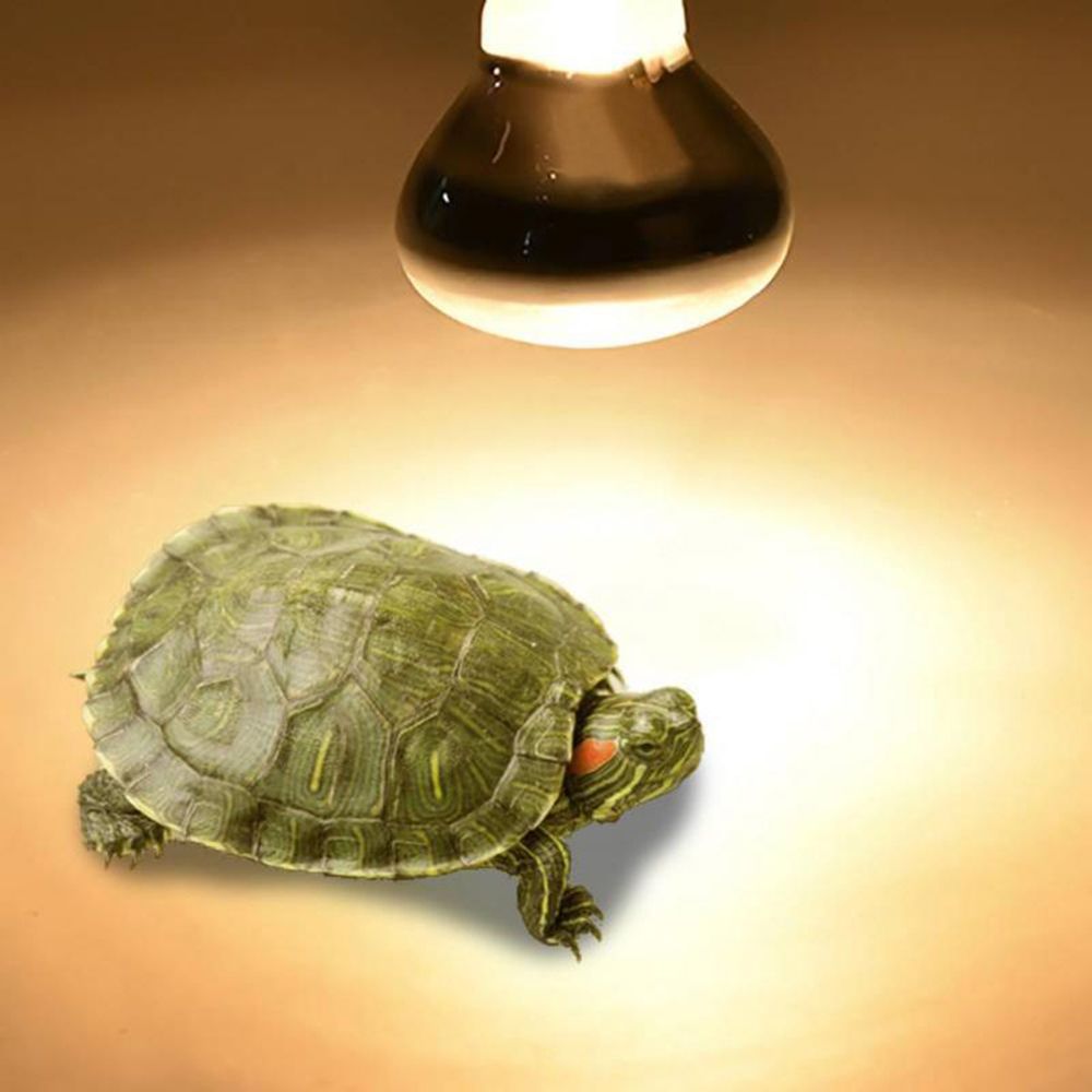 Turtle Temperature Controller  - Basking Bulb Halogen recensie en prijs
