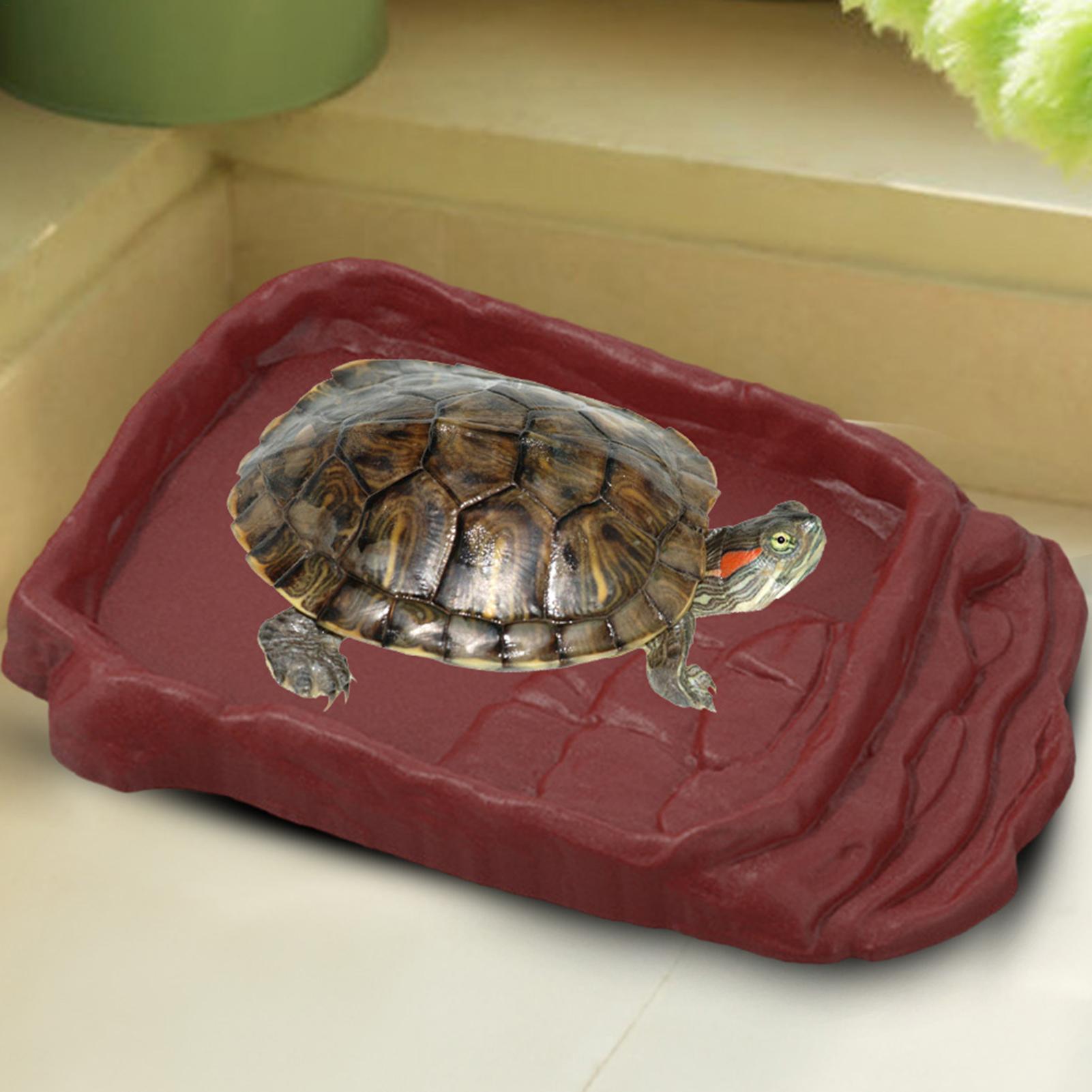 Turtle Water Dish With Anti-Sl - Water Dish Reptile recensie en prijs