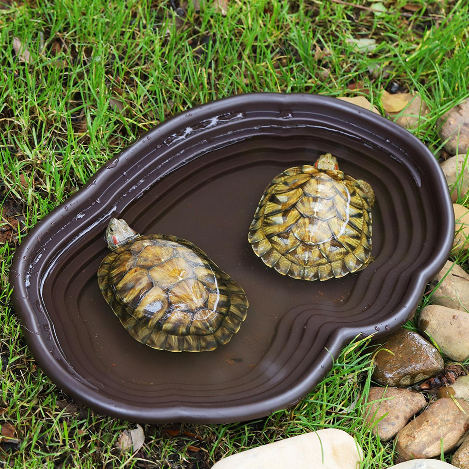 Reptile Bathing Dish Tortoise  - Water Dish Reptile recensie en prijs