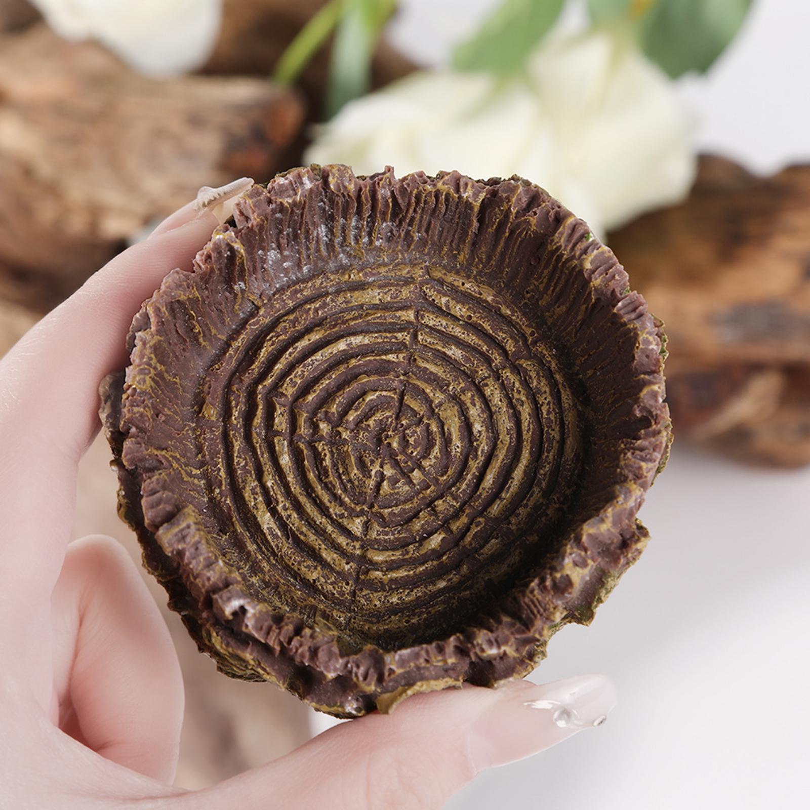 Reptile Bathing Dish Tortoise  - Water Dish Reptile recensie en prijs