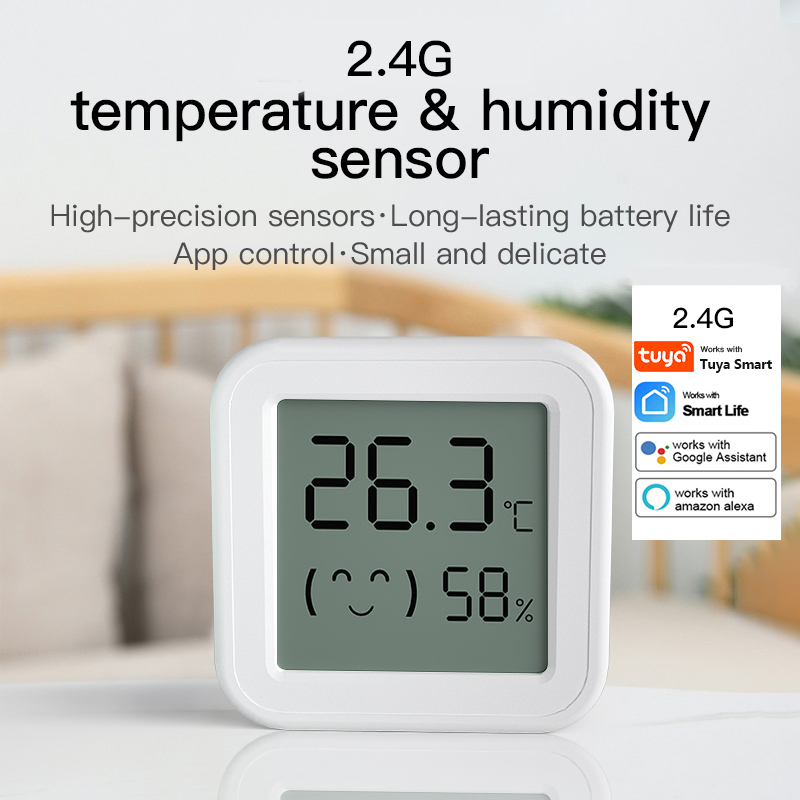 Bluetooth Temperature Humidity - Digital Hygrometer Probe recensie en prijs
