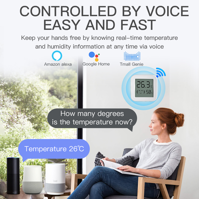 Bluetooth Temperature Humidity - Digital Hygrometer Probe recensie en prijs