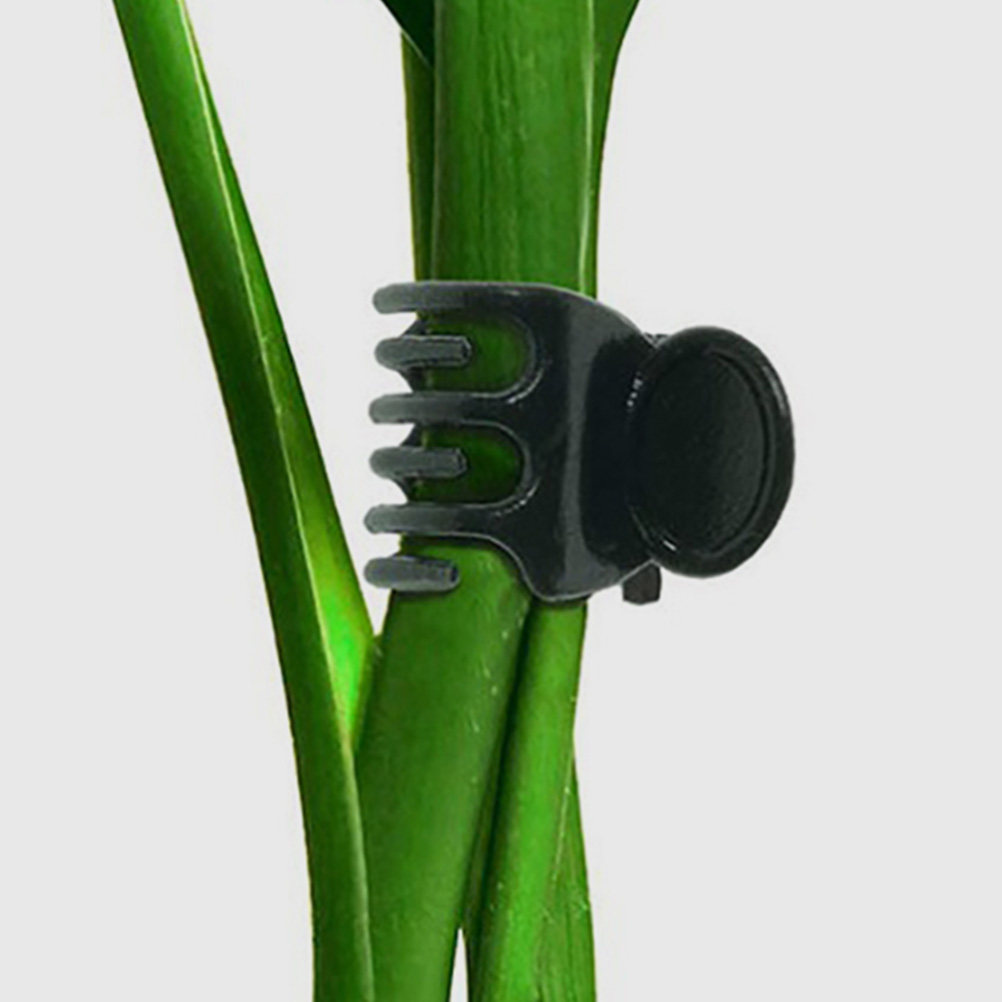 60Pcs Plant Support Clamps Pla - Vine Climbing Plastic recensie en prijs
