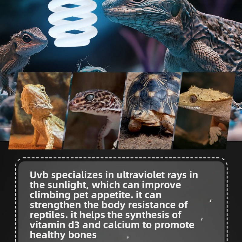 NOMOY 26W UVB Reptile Light Ca - Vitamin D3 Reptile recensie en prijs