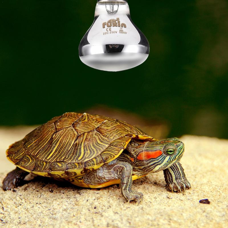 Pet Heating Lamp E27 Day Night - Ceramic Heat Emitter recensie en prijs