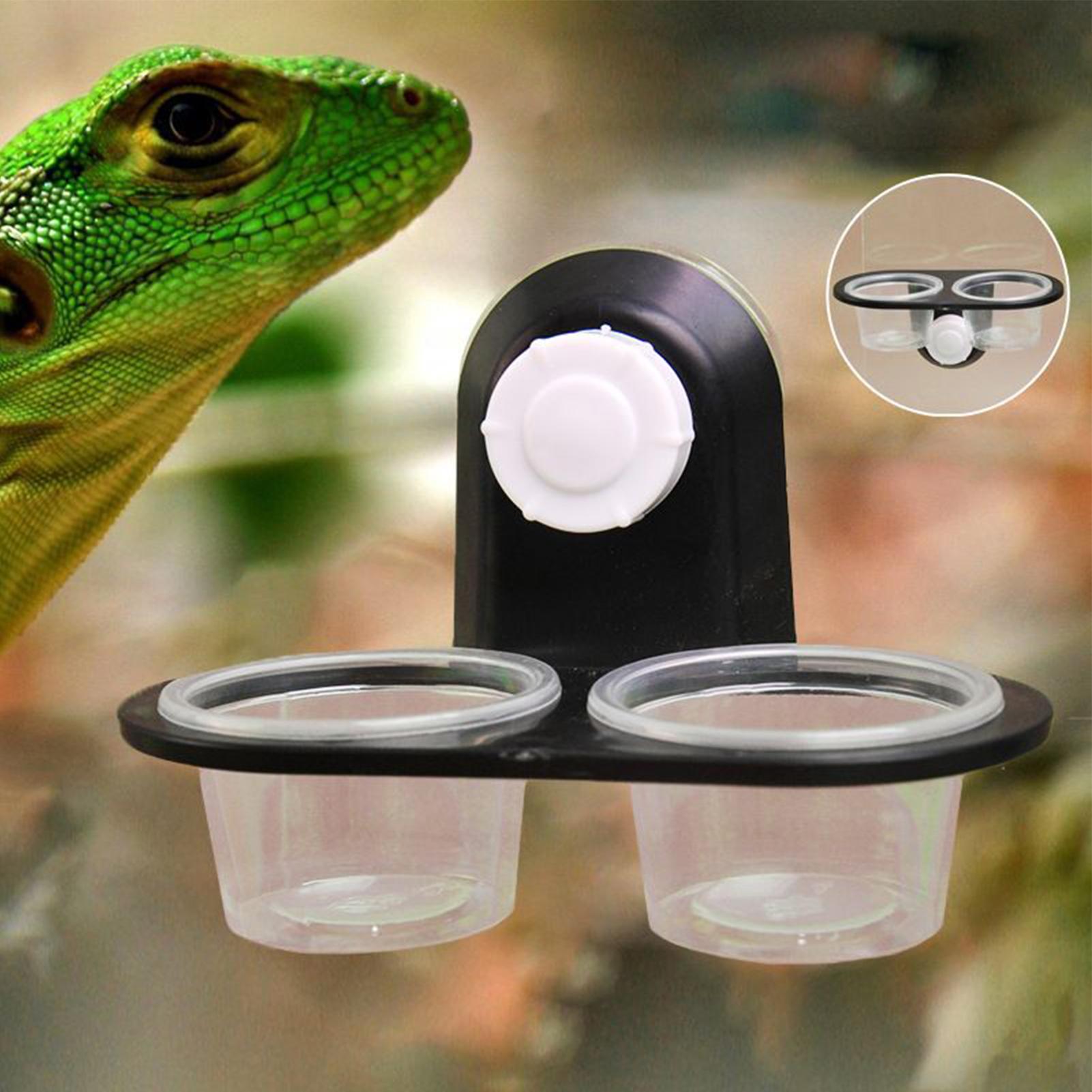 Gecko Food Dish Gecko Feeding  - Water Dish Reptile recensie en prijs