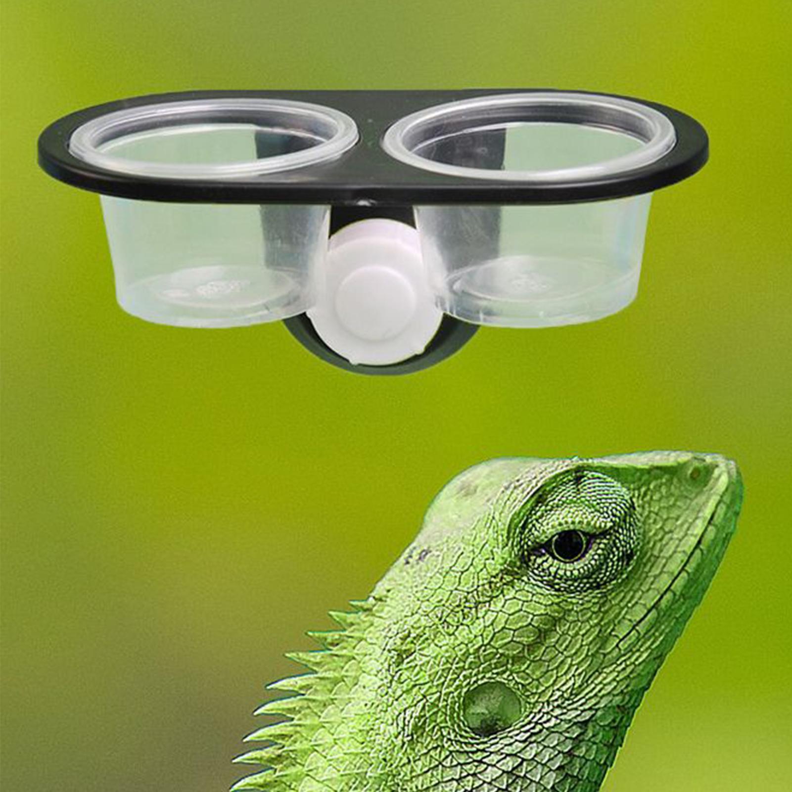 Gecko Food Dish Gecko Feeding  - Water Dish Reptile recensie en prijs