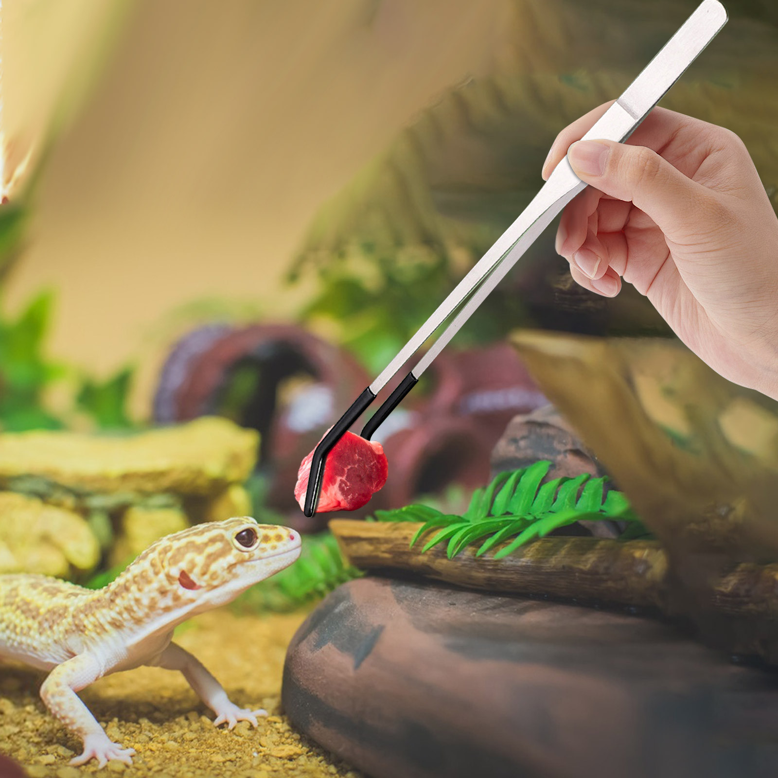 Stainless Steel Reptile Feedin - Feeding Tong Stainless recensie en prijs