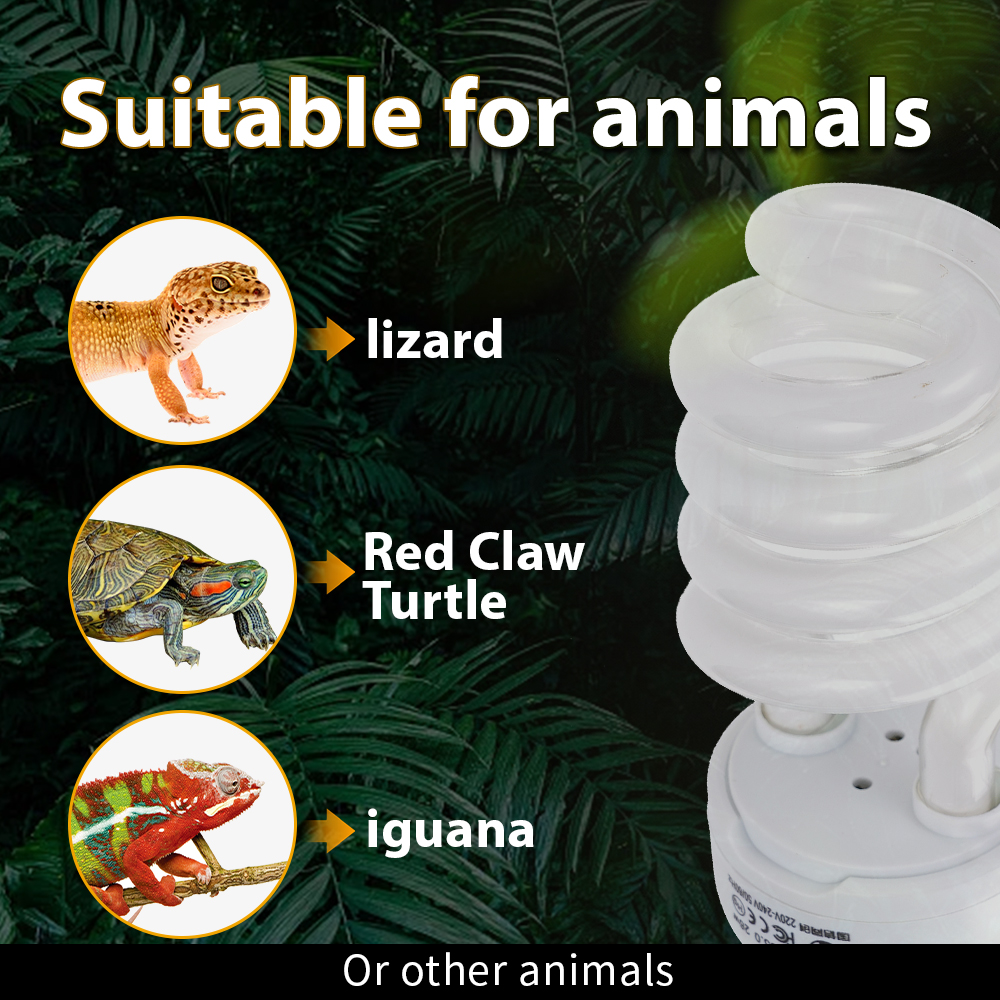 26W Pet Box Lamp Calcium Suppl - Calcium Powder Reptile recensie en prijs