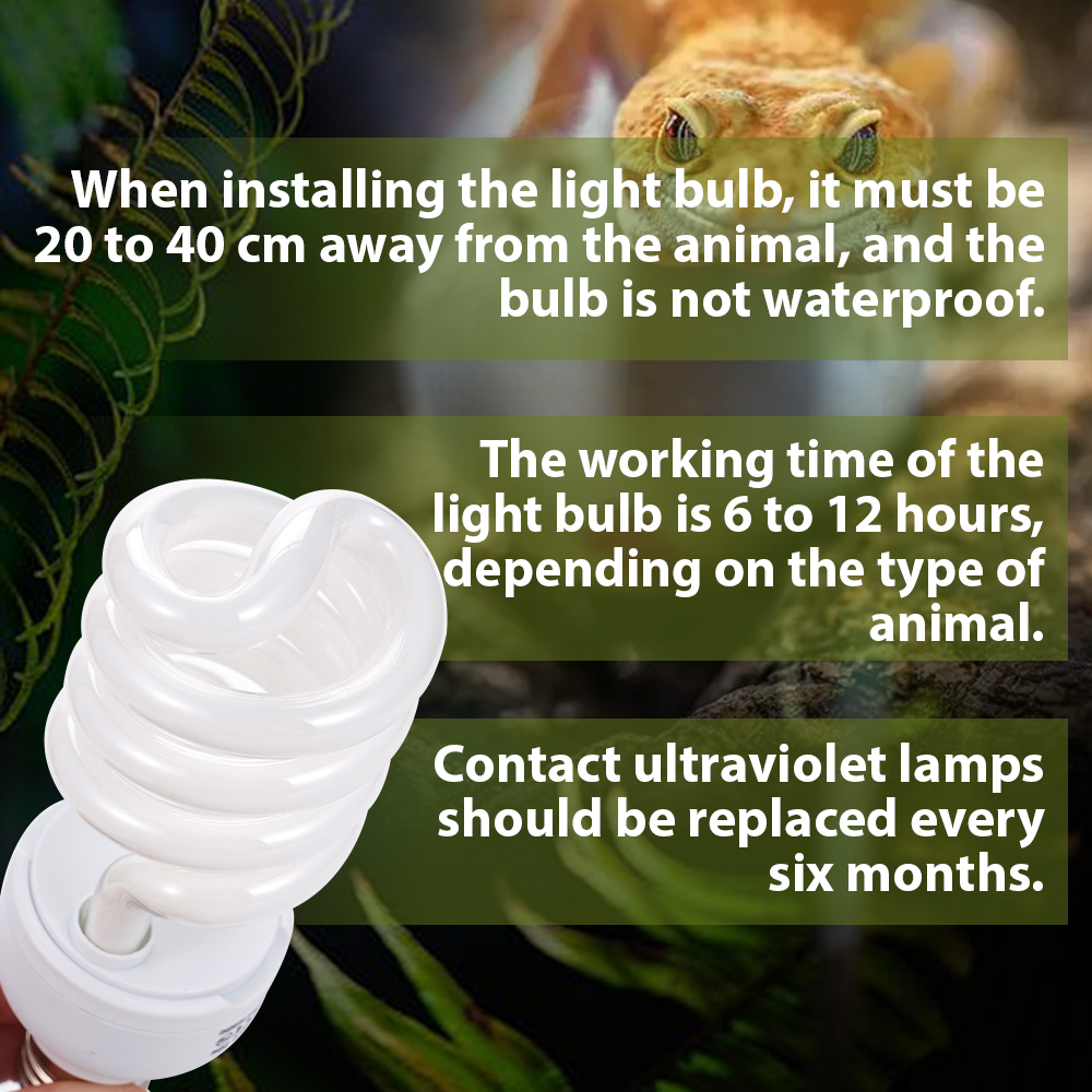26W Pet Box Lamp Calcium Suppl - Calcium Powder Reptile recensie en prijs