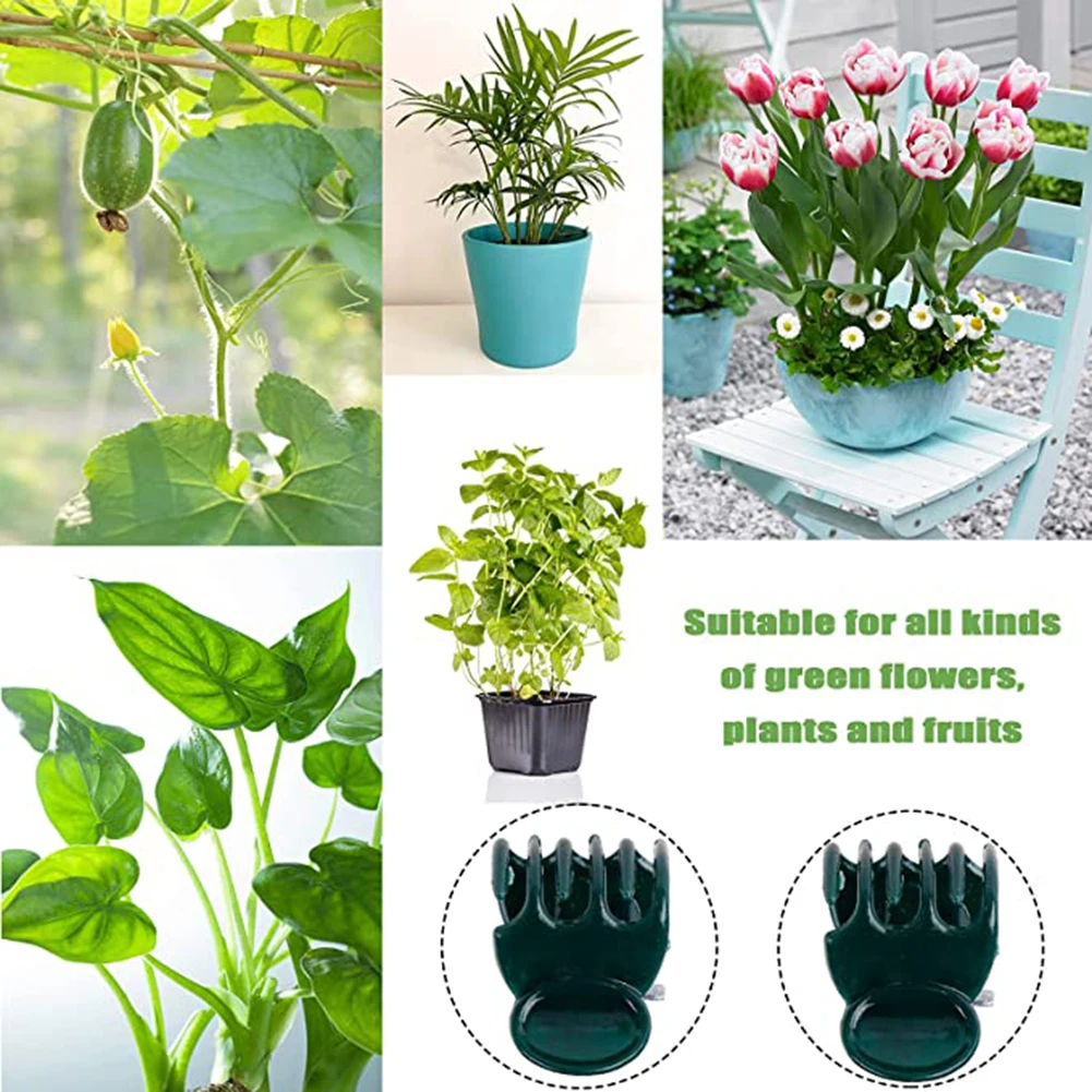 Phalaenopsis Orchid Support Cl - Vine Climbing Plastic recensie en prijs