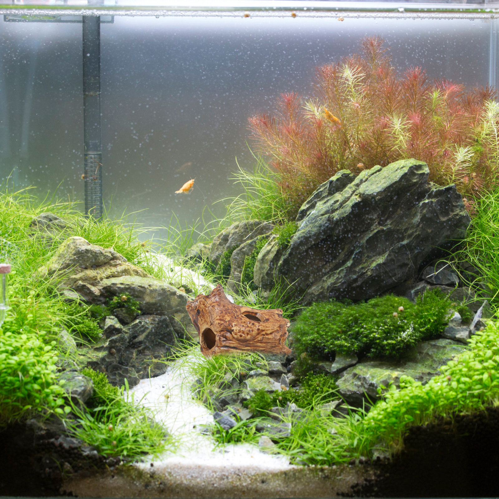 Premium Ceramic Aquarium Hides - Hide Cave Ceramic recensie en prijs