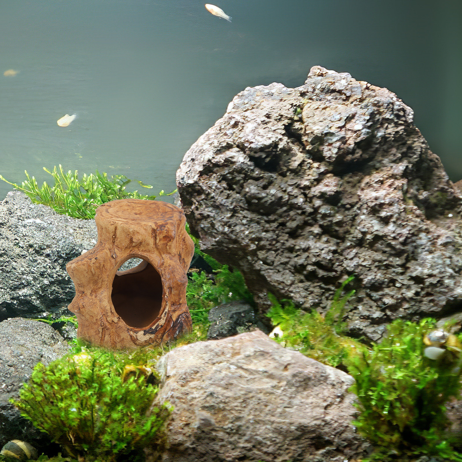 Pleco Caves Fish Tank Decorati - Hide Cave Ceramic recensie en prijs
