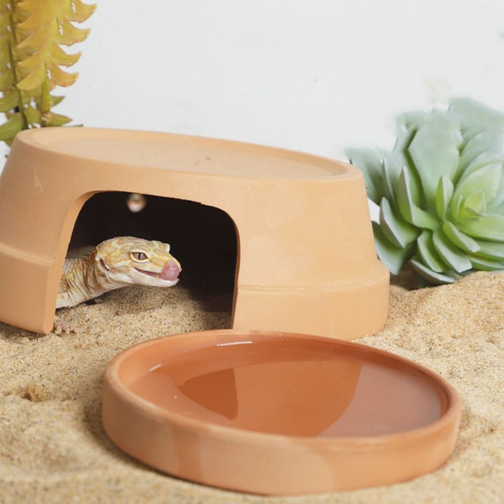 Multifunctional Ceramics Repti - Hide Cave Ceramic recensie en prijs