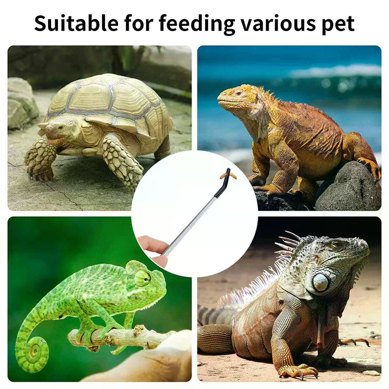 Straight and Curved Aquarium T - Feeding Tong Stainless recensie en prijs