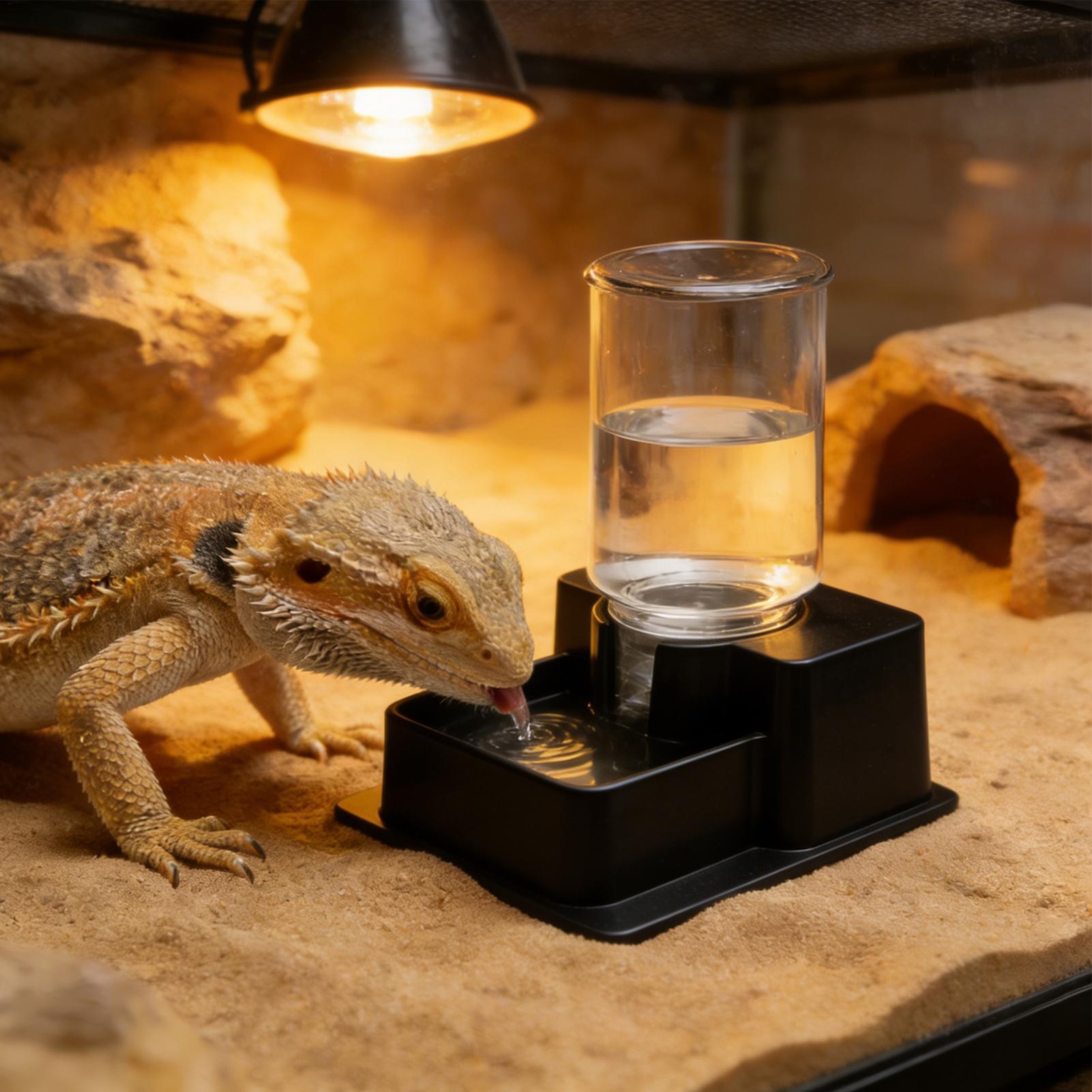 Bearded Dragon Water Fountain  - Water Dish Reptile recensie en prijs
